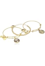Alex and Ani Limited Edition Path of Life and Unexpected Miracles Rafaelian Three Bangle Bracelet Set