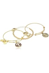 Alex and Ani Limited Edition Path of Life and Unexpected Miracles Rafaelian Three Bangle Bracelet Set
