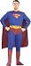 Search : Superman Adult Costume Standard