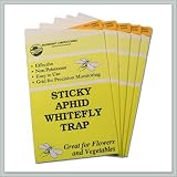 Sticky Insect Traps - Five Traps