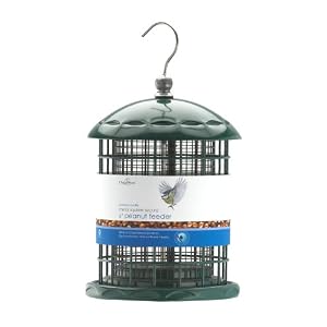 ChapelWood 6" Metal Squirrel Secure Peanut Feeder