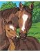 PONY AND MOTHER PAINT BY NUMBER BY DIMENSIONS