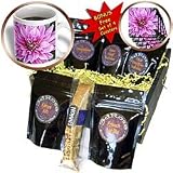 Patricia Sanders Flowers - Vivid Pink Dahlia Flower- Macro Photography- Flowers - Coffee Gift Baskets - Coffee Gift Basket