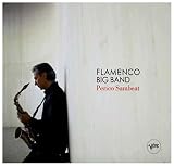 Flamenco Big Band