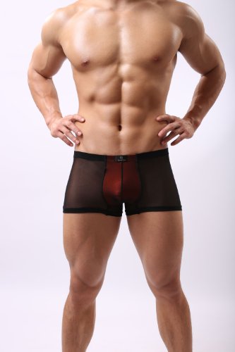 DomiGe Sheer Mesh Boxer Trunks, Mens, Black (5006)