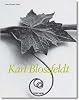 Karl Blossfeldt (Midsize)