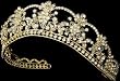 Nicole Gold Bridal Tiara