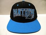 NFL Carolina Panthers Wave 2 Tone Retro Snapback Cap