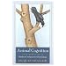 Animal Cognition: An Introduction to Modern Comparative Psychology