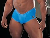 Shirley of Hollywood Quartz Micro fiber Spandex Fitted Boxer