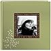 Pioneer Designer Raised Frame Cover Photo Album, Leaves