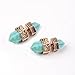 Ginasy Women's Ear Accessory Turquoise Bullet Carve Alloy Stud Earrings (Gold)