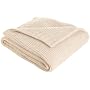 Bellora Micro Chenille 60 by 60 Throw, Stone