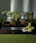 Weddingstar 6003 Water Activated Diamond Light