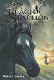 Son of the Black Stallion[BS SON OF THE BS][Paperback]