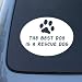 BEST DOG RESCUE DOG - Vinyl Car Decal Sticker #1659 | Vinyl Color: White