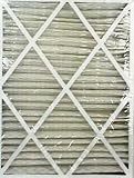 Flanders/Precisionaire 82655.0451625 Air Filter (Pack of 2)