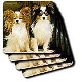 Dogs Papillon - Papillon - Coasters