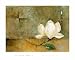 Budding Beauty - Carmen Dolce Art Print Poster 30 x 24