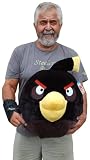 bird-ANGRY BIRDS 24