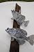 Two Replica Crappie Mounted on Driftwood