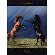 (18x24) No More Night Mares Horses on Prarie Art Print Poster