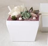 solxsol �����A�� White box M 10914