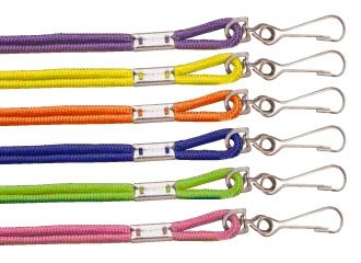 Buy Premium Lanyards (Heavy Nylon Asst Neon Colors 1dozen) by Champion