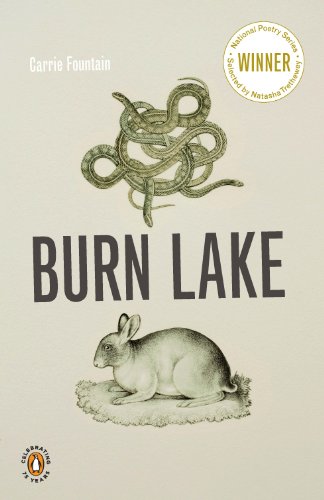 Burn Lake (National Poetry Series)