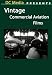 Early Commercial Aviation Films