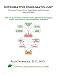 Books : Integrative Rheumatology, Second Edition