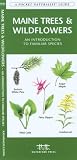 Maine Trees & Wildflowers: An introduction to over 140 familiar species of trees, shrubs and wildflowers (Pocket Naturalist - Waterford Press)