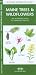 Book Maine Trees & Wildflowers: An introduction to over 140 familiar species of trees, shrubs and wildflowers (Pocket Naturalist - Waterford Press)