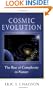 Cosmic Evolution: The Rise of Complexity in Nature