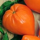 Orangefarbene Fleischtomate in Erdbeerform - bis 400g - orange Strawberry - orange Erdbeere - 10 Samen