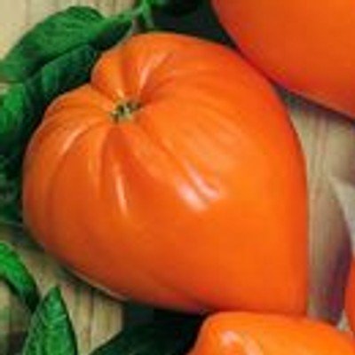 Orangefarbene Fleischtomate in Erdbeerform - bis 400g - orange Strawberry - orange Erdbeere - 10 Samen