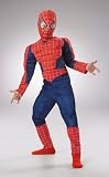 Spiderman Deluxe Child 14 To 16
