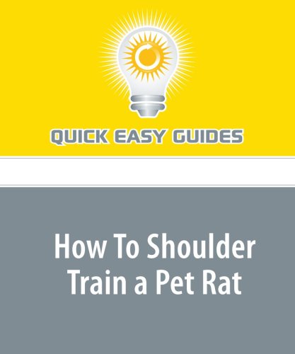 How To Shoulder Train a Pet Rat