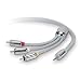Belkin AV Cable for 4G/5G iPod (Color LCD) - Video / audio cable - composite video / audio - RCA (M) - mini-phone 3.5 mm 4-pole (M) - shielded Image