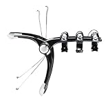 Thule 9001 Raceway 2 Bike Rear Mounted Bike Rack