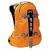 Burton AK 20L Pack, Truant Orange