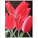 CraftNetwork - Bali Art - Lovely Tulip Flowers
