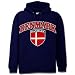 Denmark International Hoodie