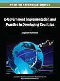 E-government implementation and practice in developing countries