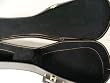 Tenor Ukulele Case