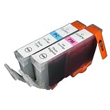 2pknon-OEMCanonCLI-8PhotoCyan&PhotoMagentaCompatibleInkCartridgeWithCHIP!ForCanonPro9000ip4200MP960ip6700D!