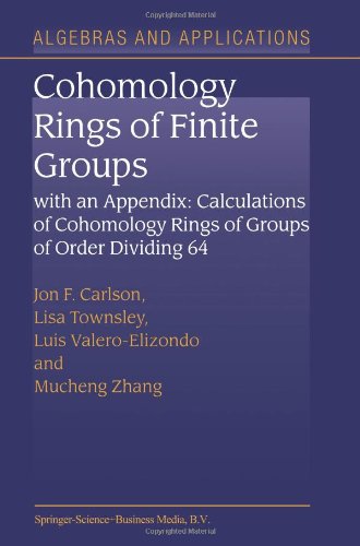 cohomology rings of finite groups with an appendix calculations of cohomology rings of groups of order dividing