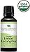 Plant Therapy Organic Lemon Eucalyptus Essential Oil 100% Pure, USDA Certified Organic, Undiluted, Natural Aromatherapy, Therapeutic Grade 30 mL (1 oz)