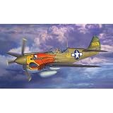 Hasegawa 1/48 P-40N 502nd Fighter SQ