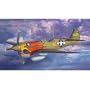 Hasegawa 1/48 P-40N 502nd Fighter SQ" "